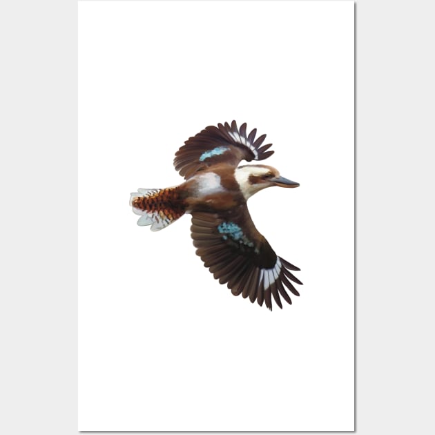 Flying Kookaburra, an Australian icon. Flashing it’s blue plumage, realistically illustrated. Wall Art by PlumpPlumStudio